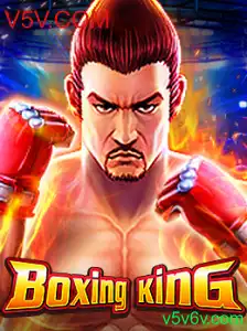 Explorando o Mundo do BoxingKing